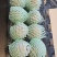 精品松花皮蛋85元/筐/180枚【口感香