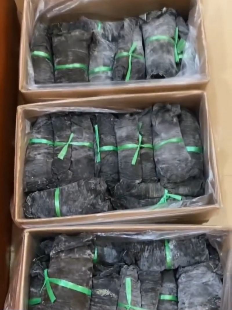 海带球干海带海带卷海带海带干海带皮海带散菜产地直供