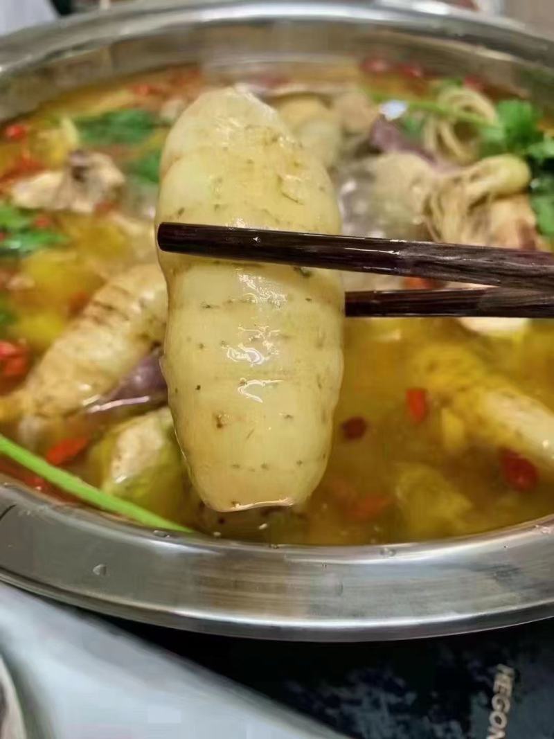 新鲜天麻，大号，中号，小号都有货一件80斤，现货