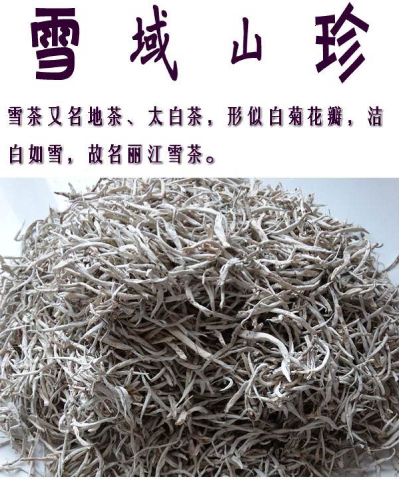 化石草，肾精草