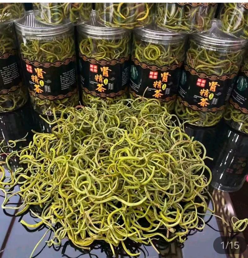 化石草，肾精草