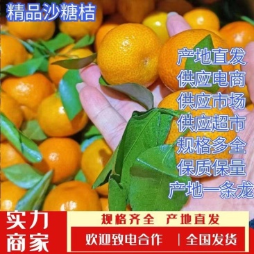 广西正宗沙糖桔，砂糖橘，现摘现发，纯甜无渣，质量保证！