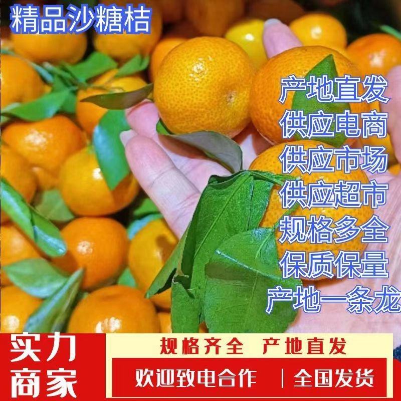 广西正宗沙糖桔，砂糖橘，现摘现发，纯甜无渣，质量保证！