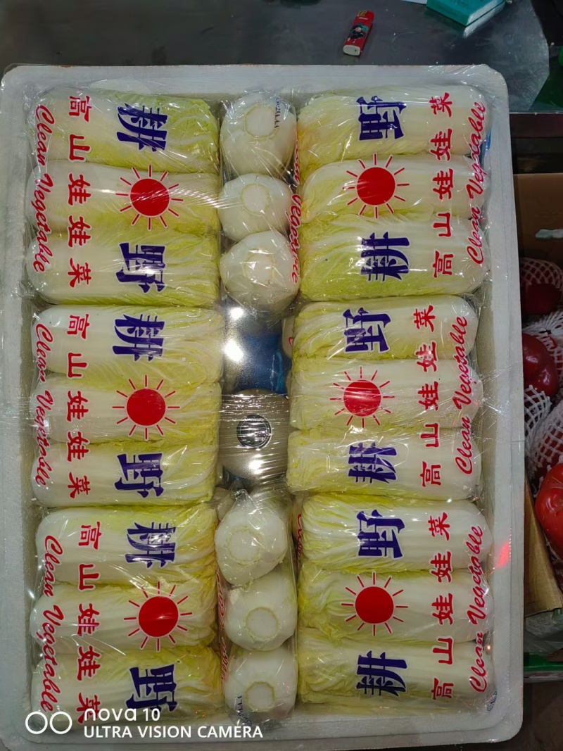 河北邯郸娃娃菜大量上市产地发货一手货源量从优一条龙服务