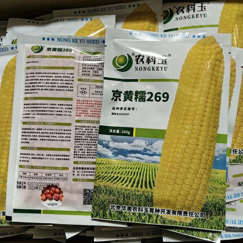 京黄糯269玉米种子国审大棒黄甜糯黄糯早熟粘软黄糯玉米种