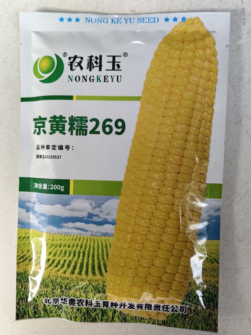 京黄糯269玉米种子国审大棒黄甜糯黄糯早熟粘软黄糯玉米种
