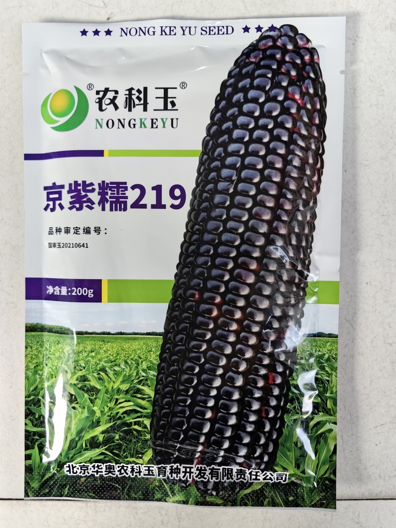 京紫糯219玉米种子国审大棒黑糯玉米软糯香甜粘紫黑玉米种