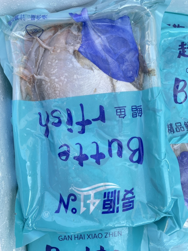 鲳鱼新鲜银鲳鱼鲜活速冻海鲜水产海鱼白鲳鱼海鲜批发