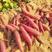 广东沙地西瓜红红薯万亩基地现挖现发对接电商欢迎采购