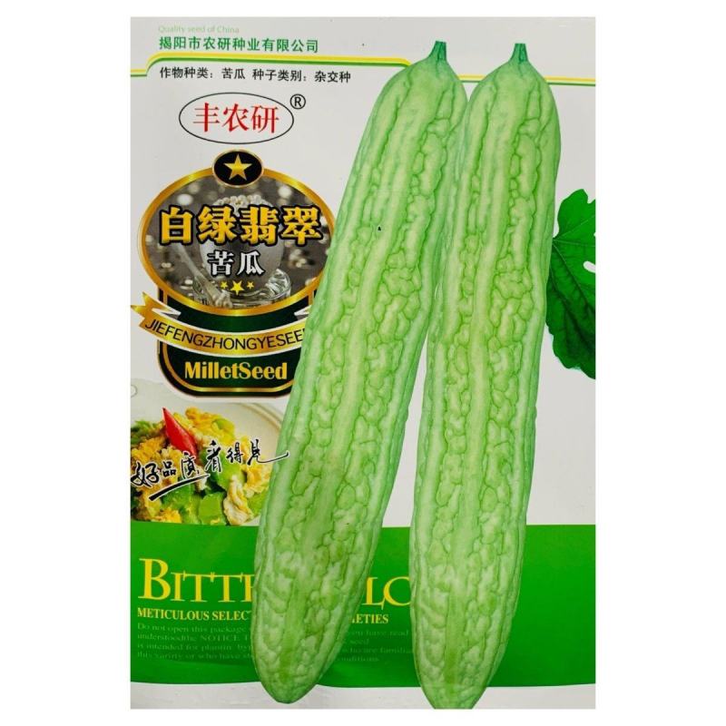 绿箭王苦瓜种子高四季高产苦瓜种籽齐顶油绿大刺瘤极早熟荷兰