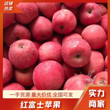 【实力】山东临沂红富士苹果-产地直发-量大从优-价格优惠