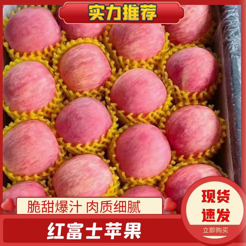 【精选】山东临沂红富士苹果-产地直发-量大从优-价格优惠