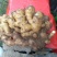 【精选】山东临沂小黄姜-量大从优-价格优惠-味足货足