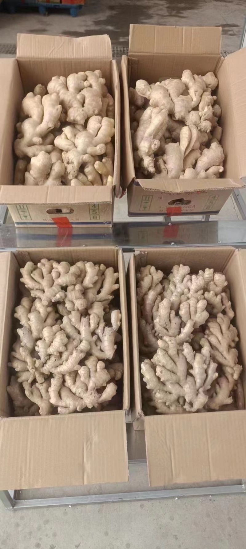 【精选】山东临沂小黄姜-量大从优-价格优惠-味足货足