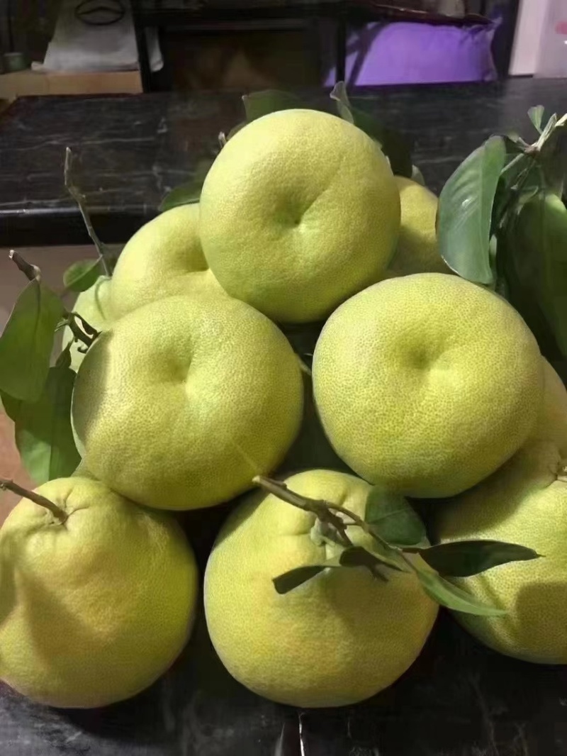 度尾红心文旦柚