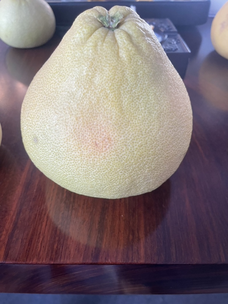 度尾红心文旦柚