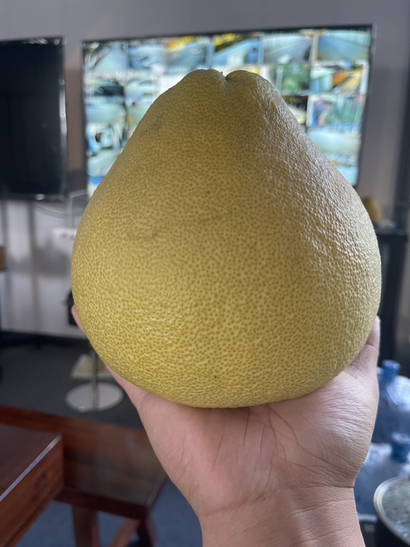 度尾红心文旦柚