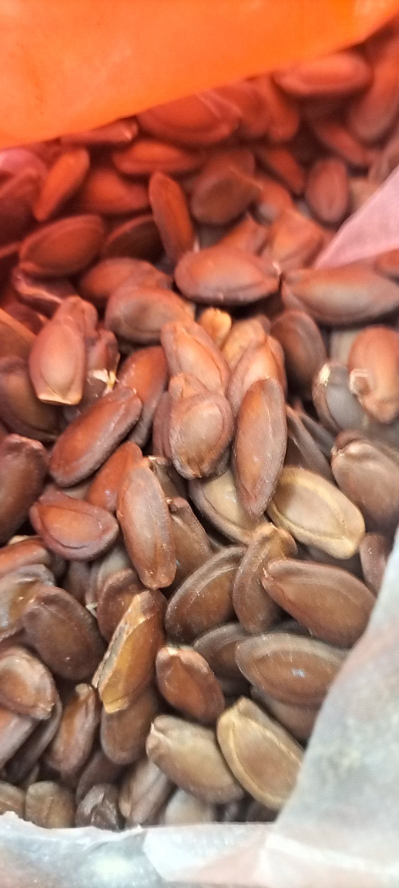 瓜蒌籽瓜蒌皮