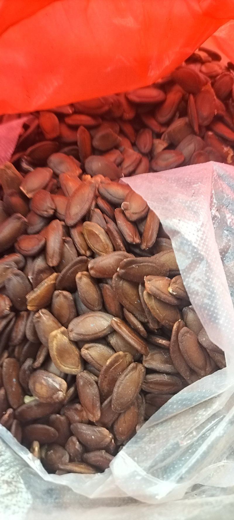 瓜蒌籽瓜蒌皮