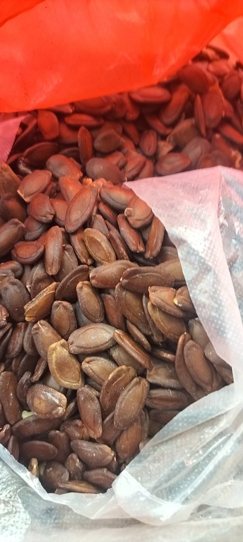 瓜蒌籽瓜蒌皮