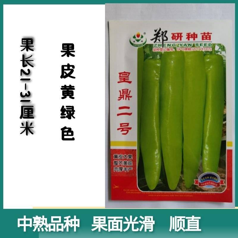 郑研黄鼎二号黄鼎三号黄皮辣椒种子新查理皇金隆祥黄帝黄皮辣