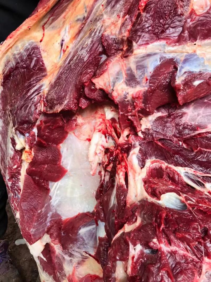 高原牦牛肉，手续齐全营养价值高支持全国拿货