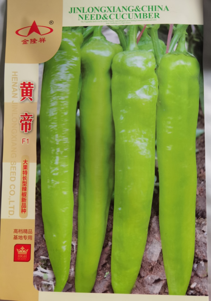 郑研黄鼎二号黄鼎三号黄皮辣椒种子新查理皇金隆祥黄帝黄皮辣