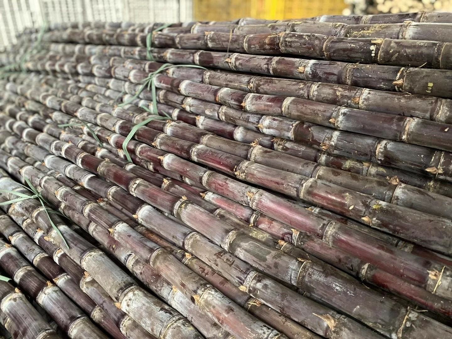 黑皮甘蔗制作甘蔗汁过程