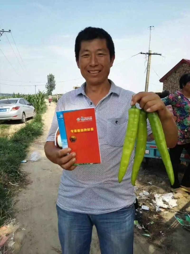 郑研黄鼎二号黄鼎三号黄皮辣椒种子新查理皇金隆祥黄帝黄皮辣