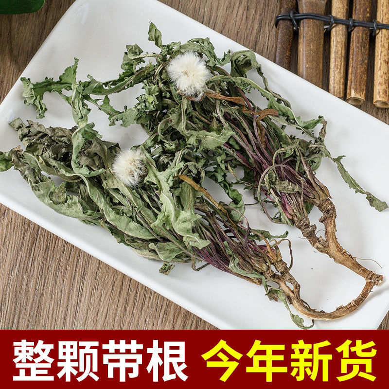 甘肃产地直销干蒲公英大量有货！货大价优欢迎选购