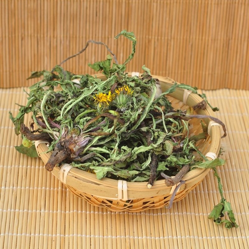 甘肃产地直销干蒲公英大量有货！货大价优欢迎选购