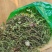 甘肃产地直销干蒲公英大量有货！货大价优欢迎选购