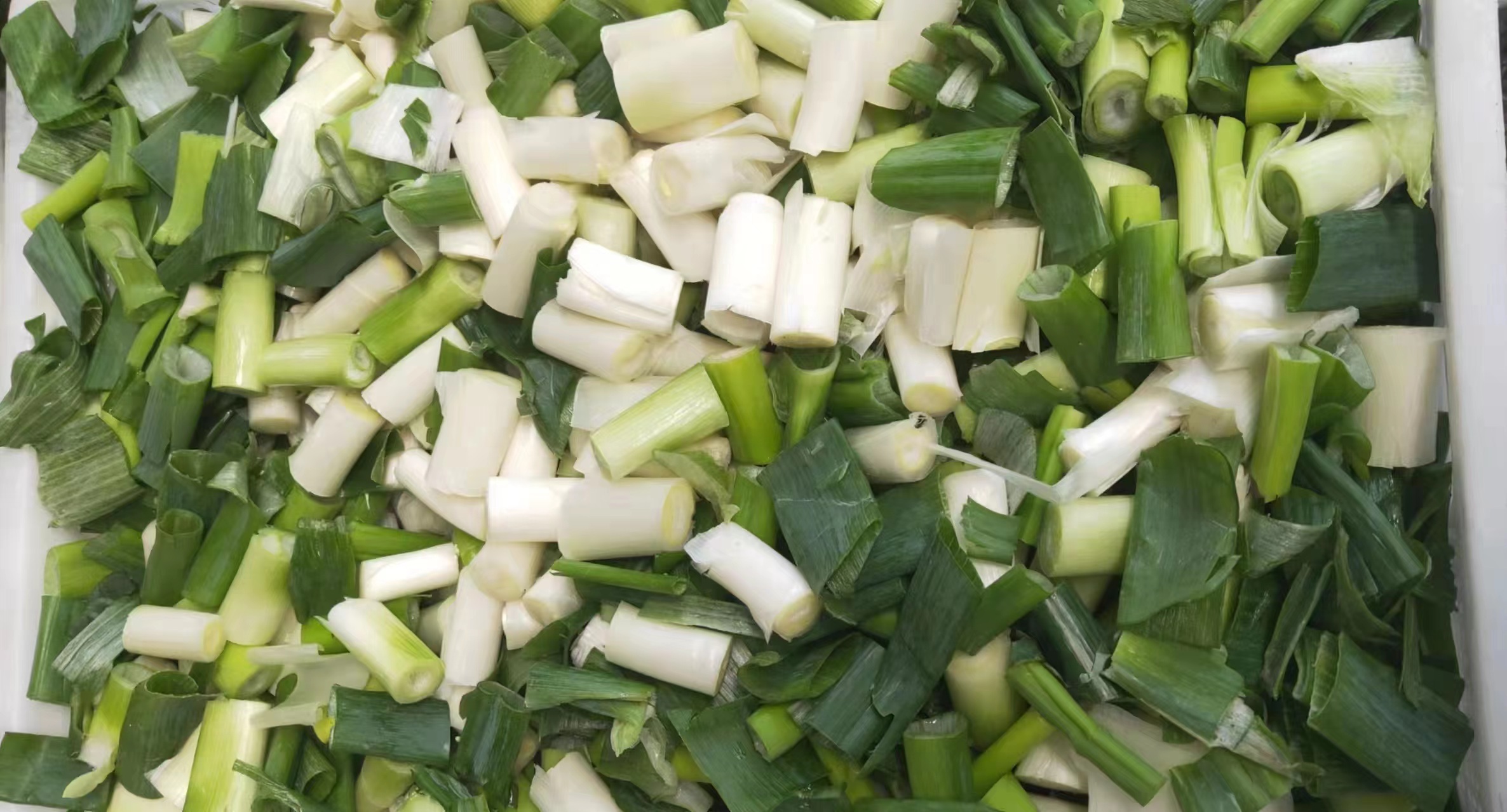 大葱切段与不同部位用途示意图