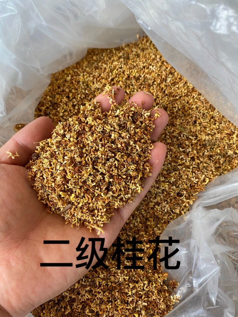 批发桂花之乡湖北省咸宁市干桂花微波桂花