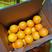 【一件玳发】纽荷尔脐橙，专业水果电商供应链