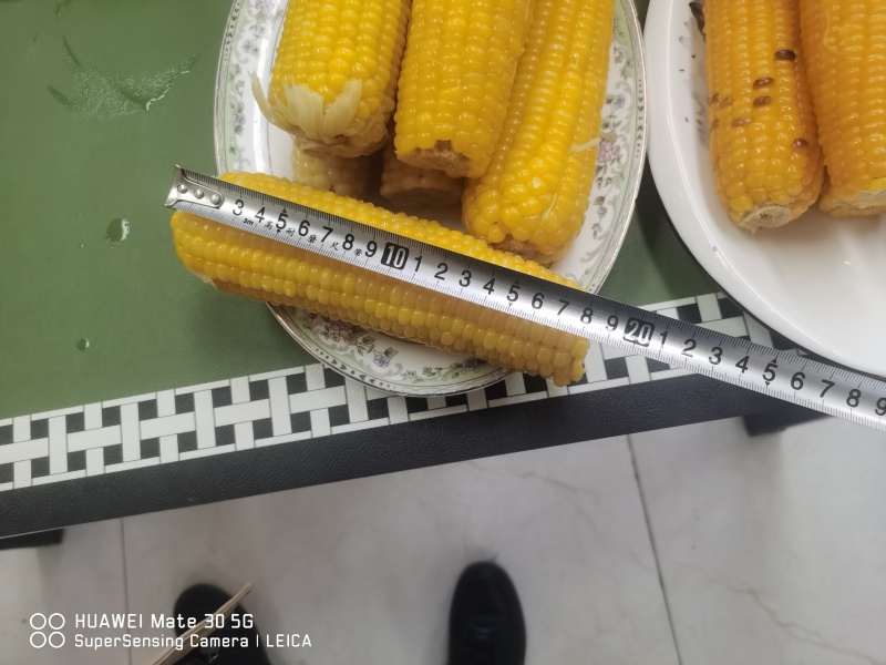 【正宗东北甜糯玉米】寒地黑土，粘粘糯糯！工厂直供