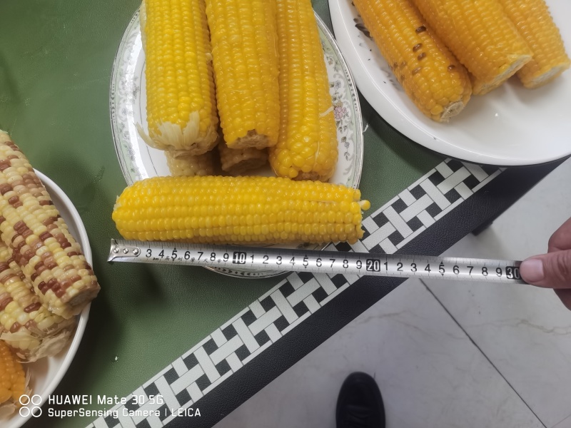 【正宗东北甜糯玉米】寒地黑土，粘粘糯糯！工厂直供