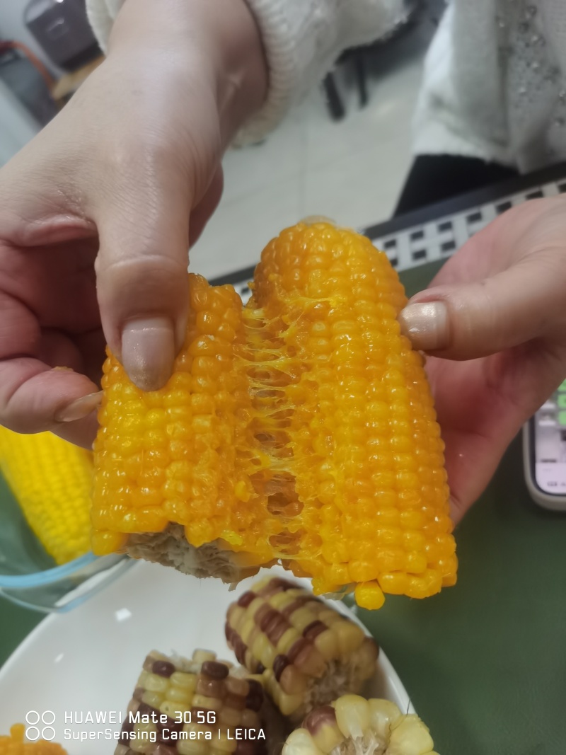 【正宗东北甜糯玉米】寒地黑土，粘粘糯糯！工厂直供