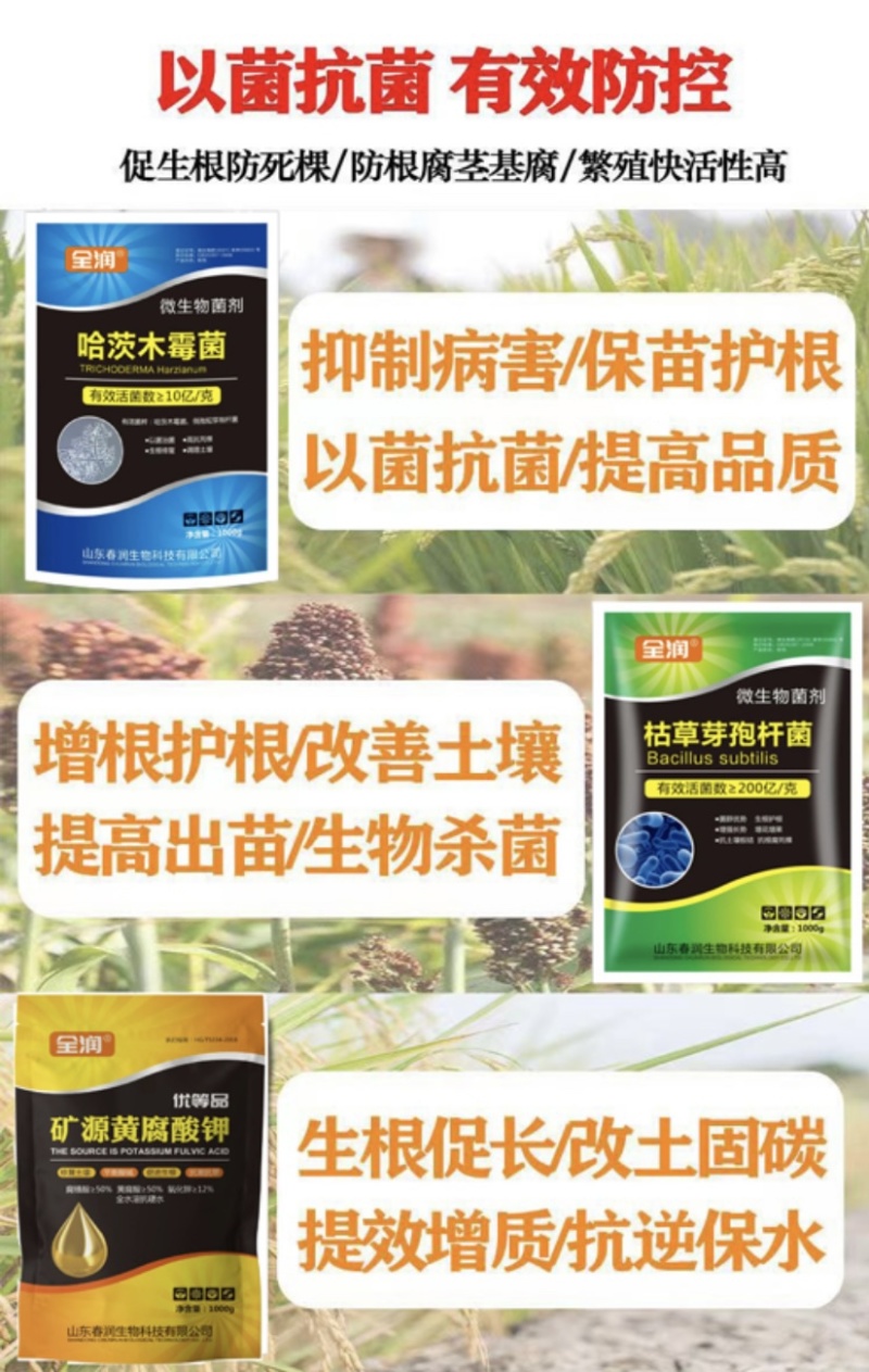 微生物菌剂哈茨木霉菌土传病害改良土壤死苗烂根抗根腐