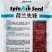 荷兰先锋菠菜种子耐寒抗热耐抽苔抗病春秋越冬中熟品种蔬菜种