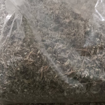 茶叶（春茶