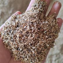 草籽麦，小麦下脚料，碎麦，麦漏