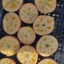 正宗新疆阿克苏冰糖心苹果大量有货，保质保量，欢迎预订