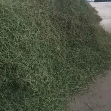 干豆角丝
