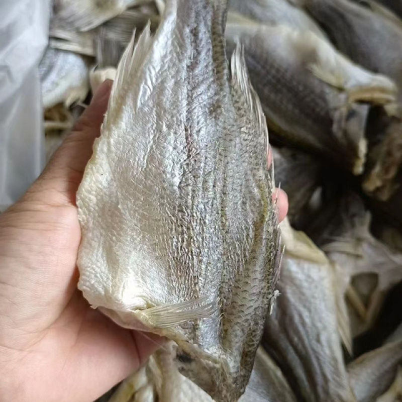 鲈鱼干展会地摊电商淡水鲈鱼干加洲鲈鱼卢仔卢肉特大号鲈鱼干