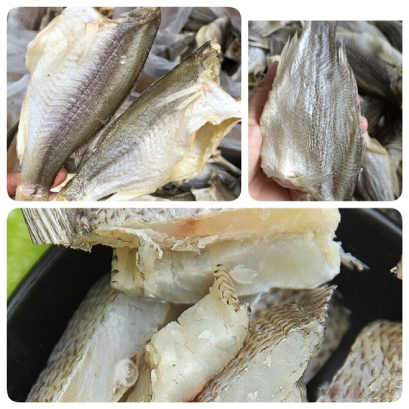 鲈鱼干展会地摊电商淡水鲈鱼干加洲鲈鱼卢仔卢肉特大号鲈鱼干