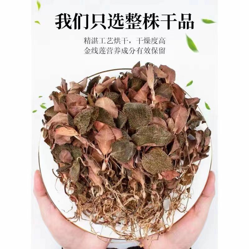 金线莲干品精选福建种植林下非野生整株泡茶煲汤批发