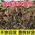 金线莲干品精选福建种植林下非野生整株泡茶煲汤批发