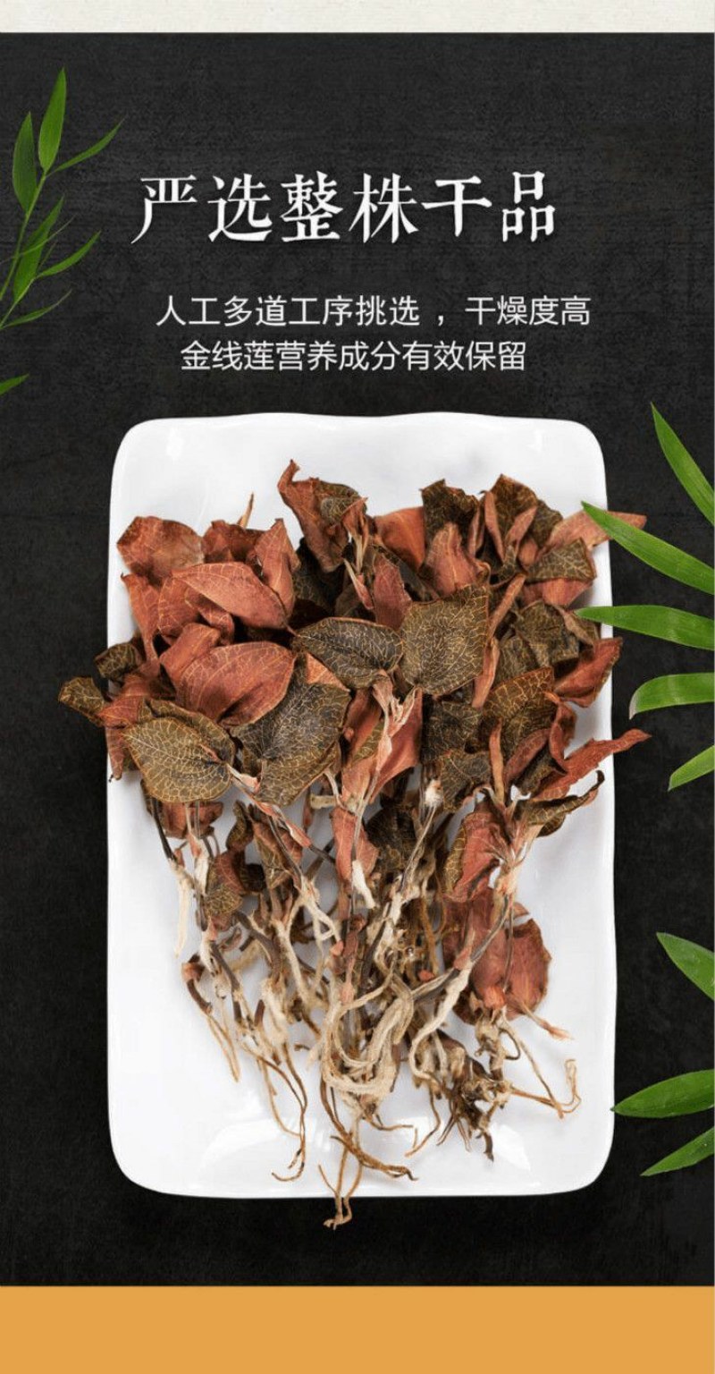 金线莲干品精选福建种植林下非野生整株泡茶煲汤批发