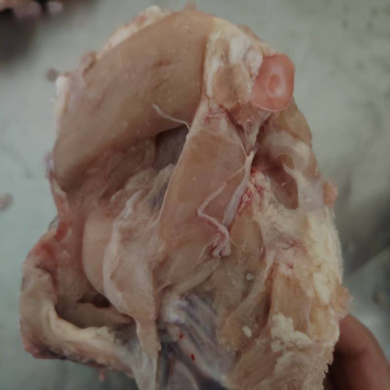炒鸡架专用去脖去尾鸡架1.65元一斤全国发冷链物流